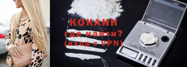 сатива Новозыбков