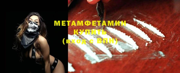 сатива Новозыбков