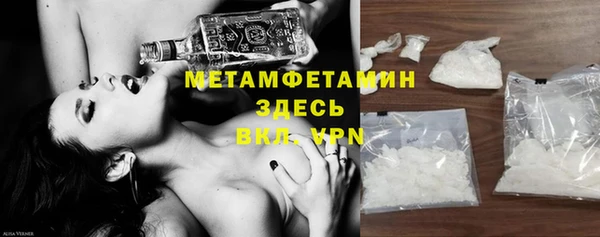 сатива Новозыбков