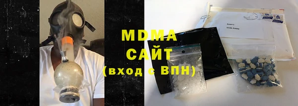 сатива Новозыбков