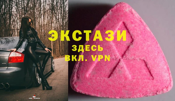 сатива Новозыбков