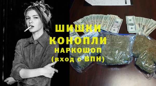 стаф Няндома