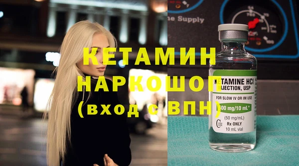 сатива Новозыбков